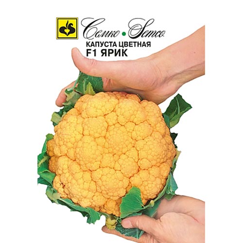 Капуста цветная Ярик F1 Семко изображение 1 артикул 94245
