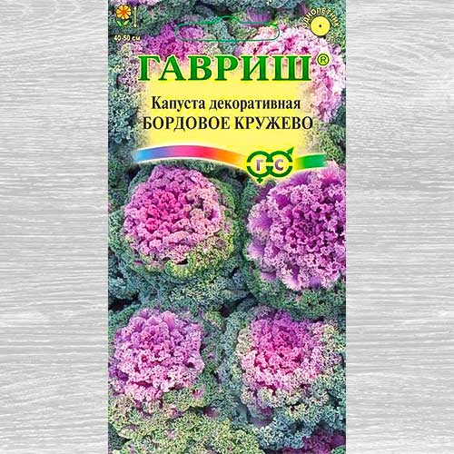 Капуста декоративная Бордовое кружево артикул фото 1 Капуста декоративная Бордовое кружево изображение 1 артикул 82382