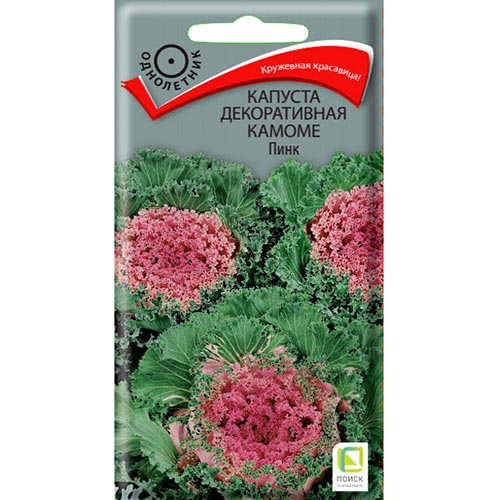 Капуста декоративная Камоме Пинк Поиск изображение 1 артикул 92996