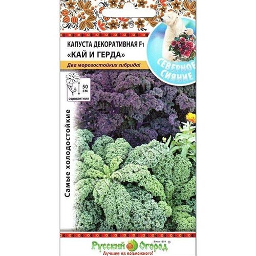 Капуста декоративная Кай и Герда F1, смесь окрасок НК изображение 1 артикул 92524