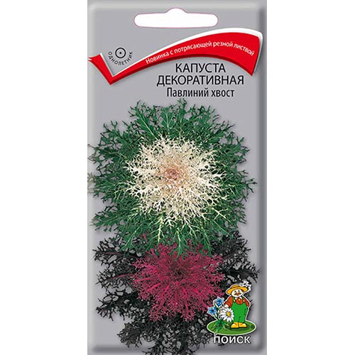 Капуста декоративная Павлиний хвост, смесь окрасок Поиск изображение 1 артикул 92998
