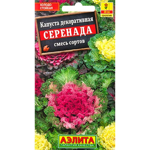 Капуста декоративная Серенада, смесь окрасок Аэлита изображение 1 артикул 98961