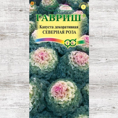 Капуста декоративная Северная роза Гавриш артикул фото 1 Капуста декоративная Северная роза Гавриш изображение 1 артикул 65954