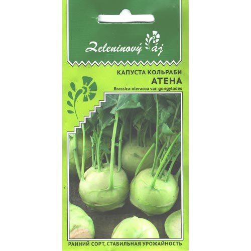 Капуста кольраби Атена Уральский дачник изображение 1 артикул 94522