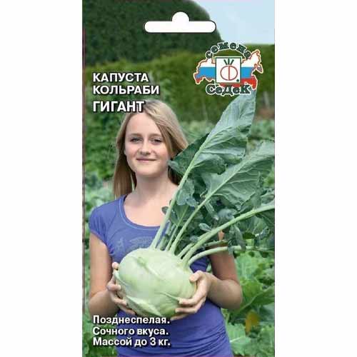 Капуста кольраби Гигант Седек артикул фото 1 Капуста кольраби Гигант Седек изображение 1 артикул 40461