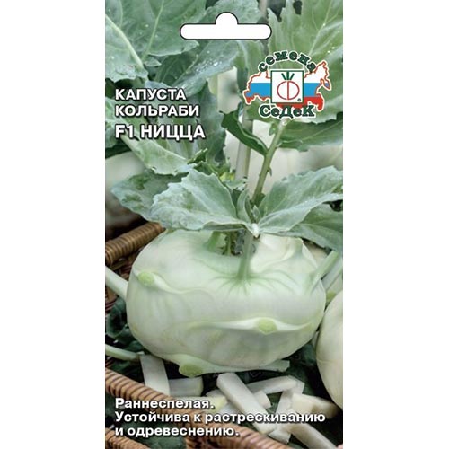 Капуста кольраби Ницца F1 Седек изображение 1 артикул 93371