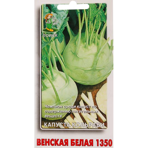 Капуста кольраби Венская белая 1350 Поиск изображение 1 артикул 92738