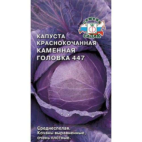 Капуста краснокочанная Каменная головка 447 Седек изображение 1 артикул 93375