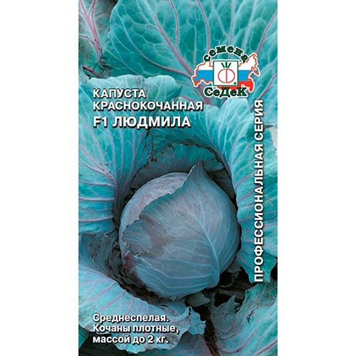 Капуста краснокочанная Людмила F1 Седек изображение 1 артикул 93378