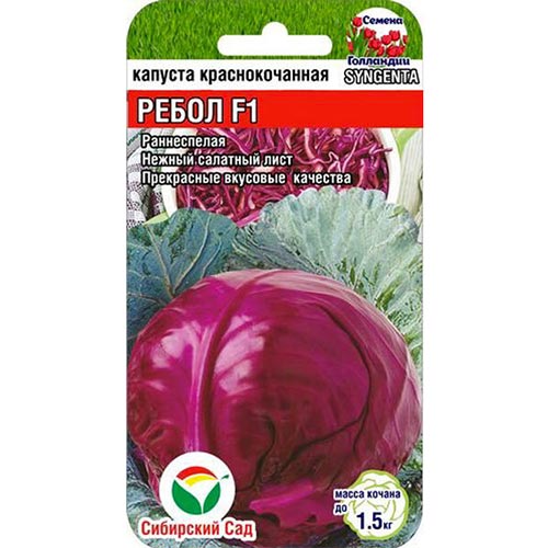 Капуста краснокочанная Ребол F1 Сибирский сад изображение 1 артикул 94345