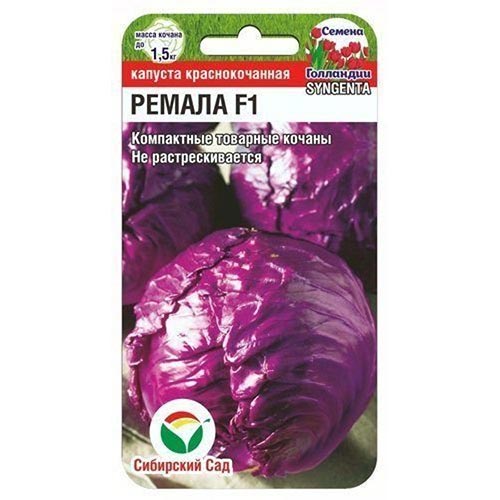 Капуста краснокочанная Ремала F1 Сибирский сад изображение 1 артикул 94346