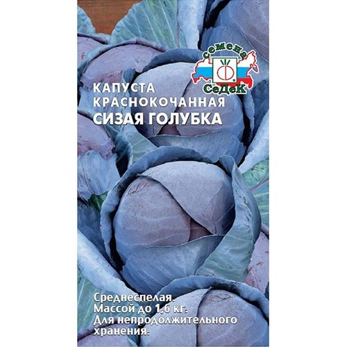 Капуста краснокочанная Сизая голубка Седек изображение 1 артикул 93381