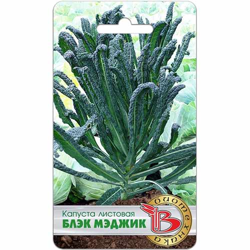 Капуста листовая (кале) Блэк Меджик Биотехника изображение 1 артикул 84591
