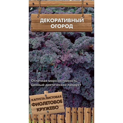 Капуста листовая кале Фиолетовое кружево Поиск изображение 1 артикул 81884