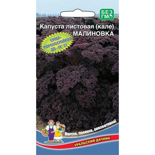 Капуста листовая кале Малиновка Уральский дачник изображение 1 артикул 94529