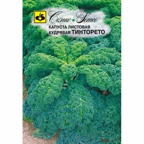 Капуста листовая (кале) Тинторето Семко изображение 1 артикул 94239