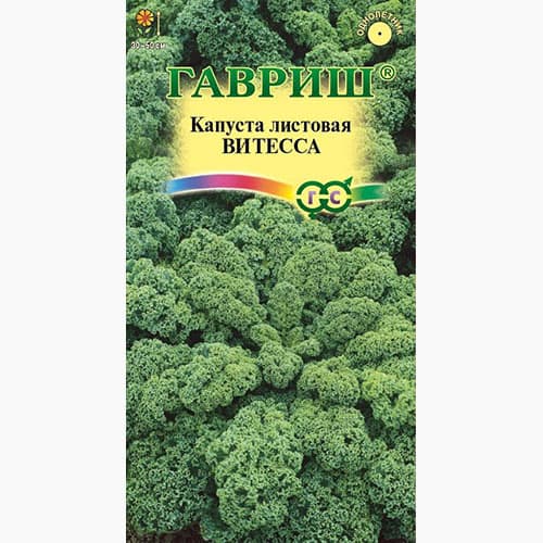 Капуста листовая (кале) Витесса Гавриш артикул фото 1 Капуста листовая (кале) Витесса Гавриш изображение 1 артикул 97432