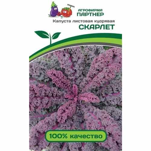 Капуста листовая кудрявая (кале) Скарлет Партнер артикул фото 1 Капуста листовая кудрявая (кале) Скарлет Партнер изображение 1 артикул 73447