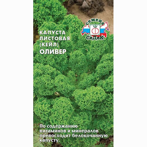 Капуста листовая (кале) Оливер Седек артикул фото 1 Капуста листовая (кале) Оливер Седек изображение 1 артикул 84059