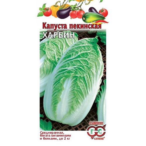 Капуста пекинская Харбин Гавриш изображение 1 артикул 91704