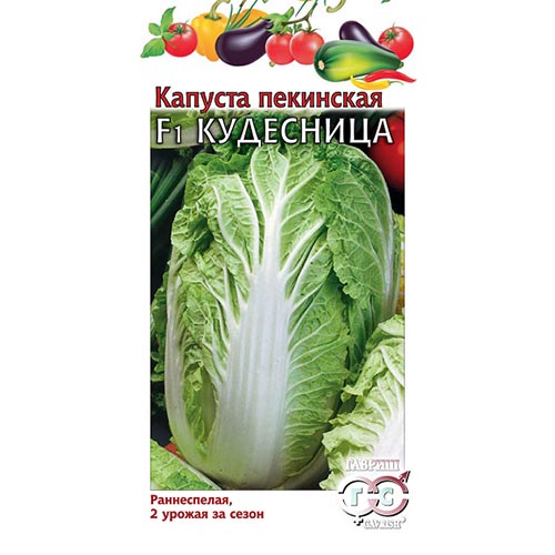 Капуста пекинская Кудесница F1 Гавриш изображение 1 артикул 91703