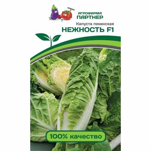 Капуста пекинская Нежность F1 Партнер изображение 1 артикул 73445