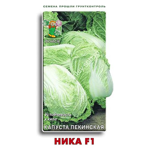 Капуста пекинская Ника F1 Поиск изображение 1 артикул 92744