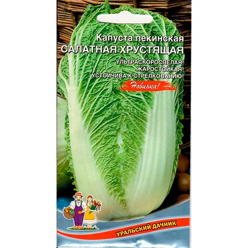 Капуста пекинская Салатная хрустящая Уральский дачник изображение 1 артикул 94530