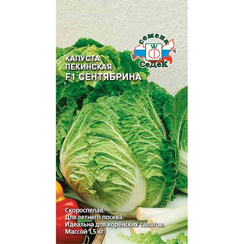 Капуста пекинская Сентябрина F1 Седек изображение 1 артикул 93388