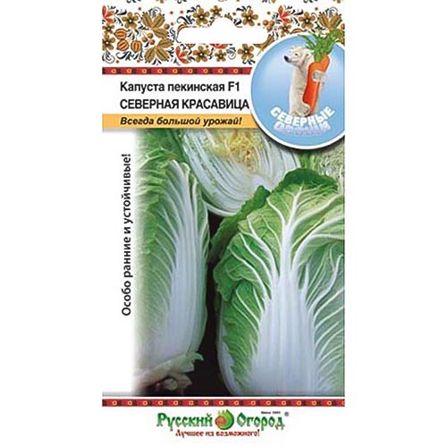 Капуста пекинская Северная красавица F1 НК изображение 1 артикул 92323