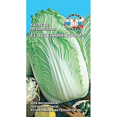 Капуста пекинская Весенний нефрит F1 Седек изображение 1 артикул 93383