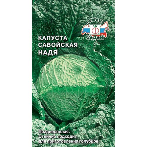 Капуста савойская Надя Седек изображение 1 артикул 93390