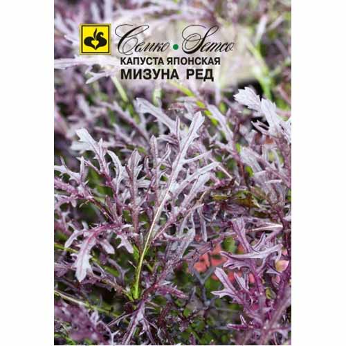 Капуста японская Ред Мизуна Семко изображение 1 артикул 40555