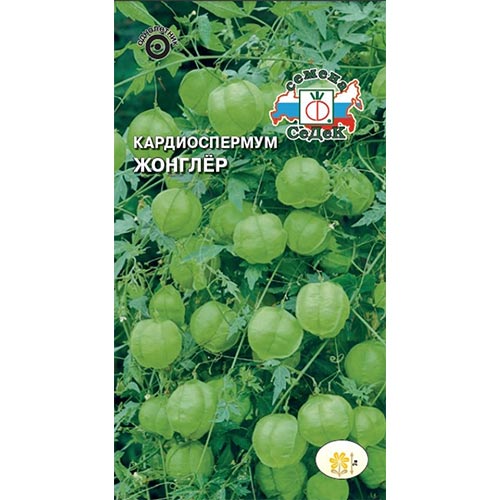 Кардиоспермум Жонглер Седек изображение 1 артикул 93806