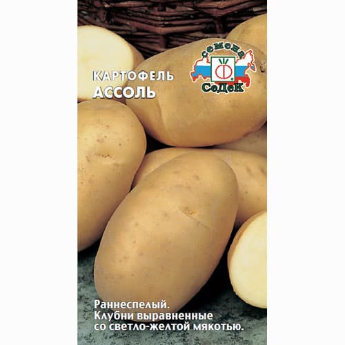 Картофель Ассоль Седек артикул фото 1 Картофель Ассоль Седек изображение 1 артикул 93404
