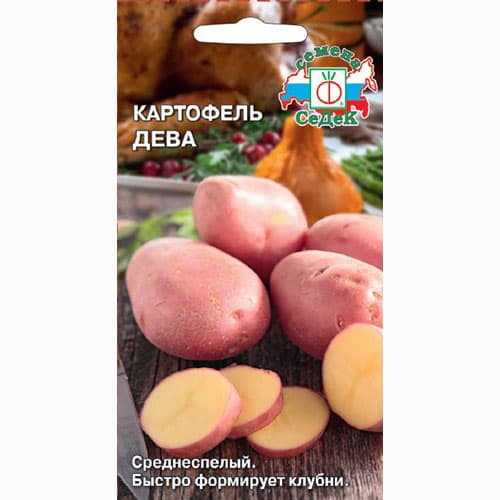 Картофель Дева Седек изображение 1 артикул 93405