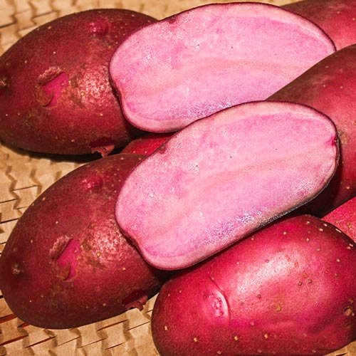 Картофель Эликсир изображение 1 артикул 7888