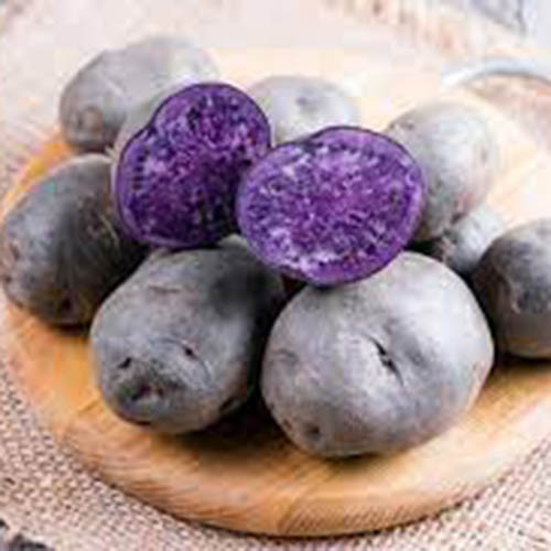 Картофель Фиолетовый изображение 1 артикул 7887