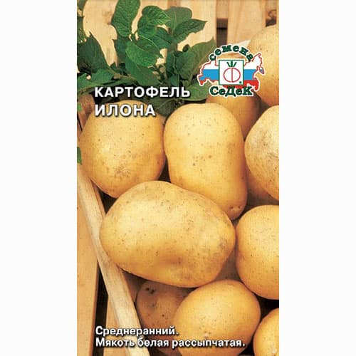 Картофель Илона Седек артикул фото 1 Картофель Илона Седек изображение 1 артикул 84888