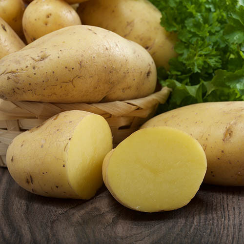 Картофель Жигулевский изображение 1 артикул 1039