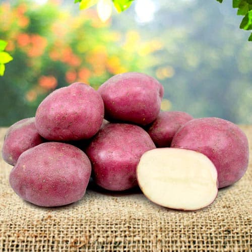 Картофель Кармен изображение 1 артикул 9621