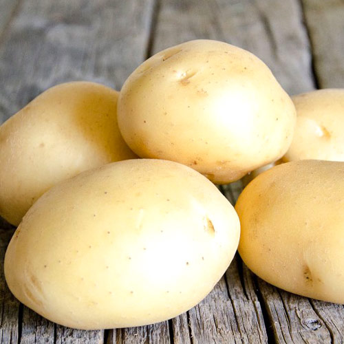 Картофель Лидер Седек артикул фото 1 Картофель Лидер Седек изображение 1 артикул 84891