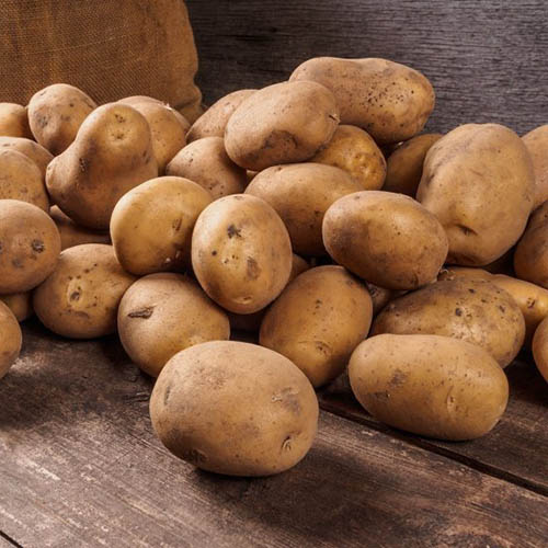 Картофель Луговской изображение 1 артикул 1044