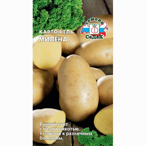 Картофель Милена Седек артикул фото 1 Картофель Милена Седек изображение 1 артикул 84892