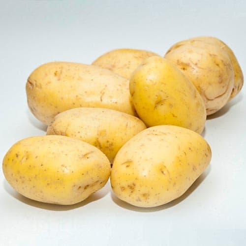 Картофель Монализа артикул фото 1 Картофель Монализа изображение 1 артикул 9625