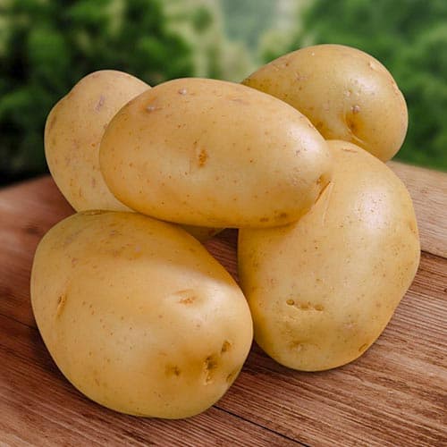 Картофель Прайм изображение 1 артикул 9626