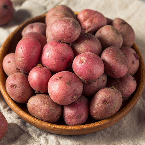 Картофель Рокко изображение 1 артикул 7817