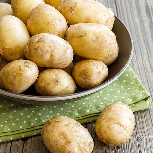 Картофель Санте артикул фото 1 Картофель Санте изображение 1 артикул 4529