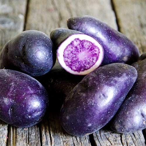 Картофель Северное Сияние  изображение 1 артикул 7866