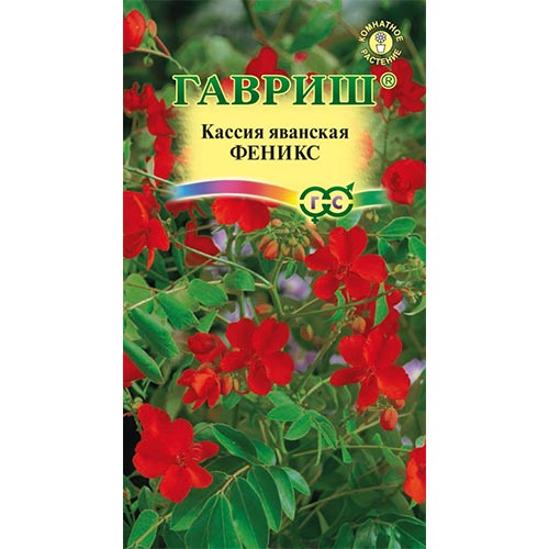 Кассия Феникс Гавриш изображение 1 артикул 92073